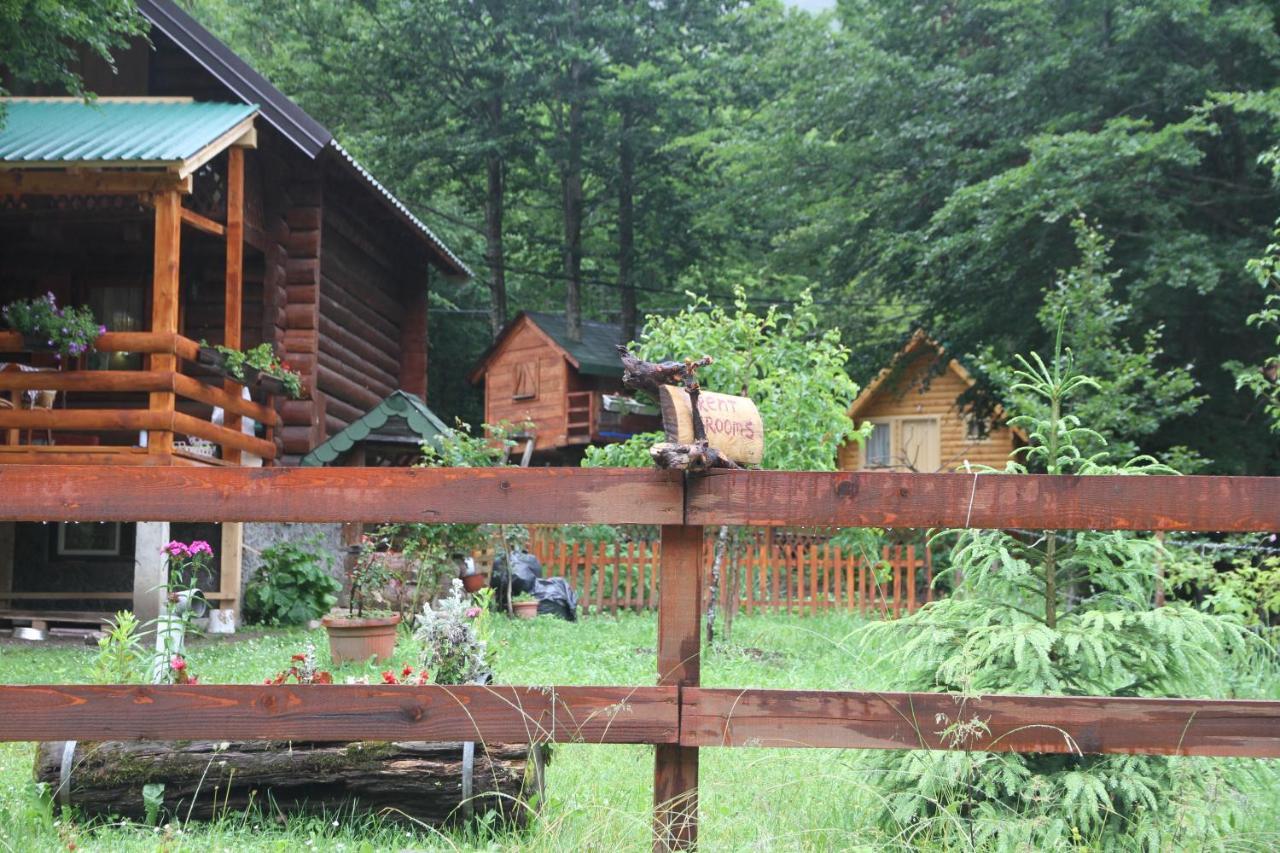 Bungalows Prokletije Gusinje Luaran gambar