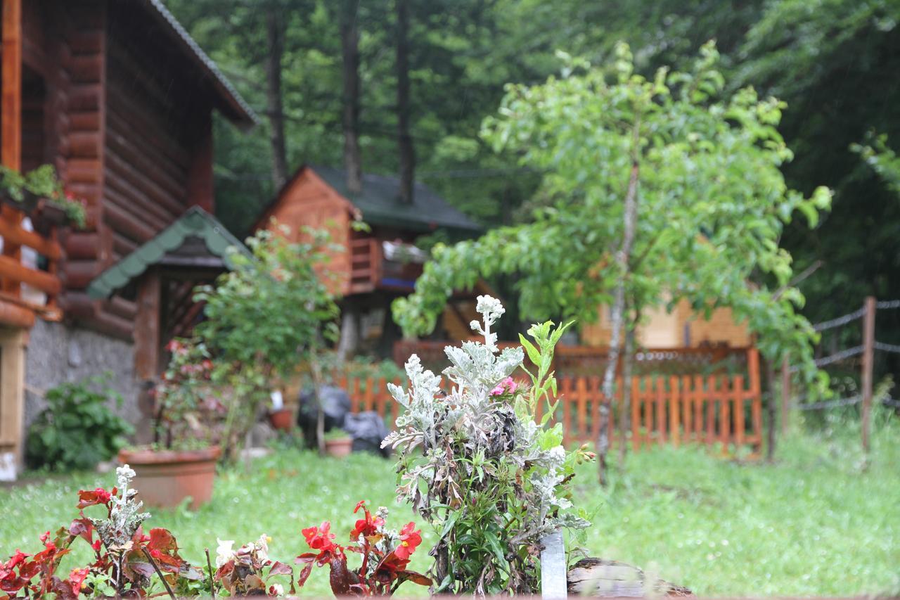 Bungalows Prokletije Gusinje Luaran gambar